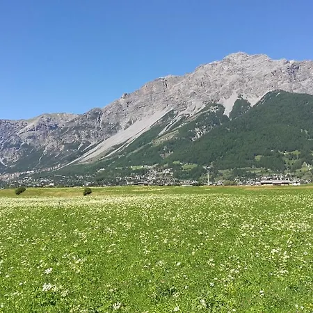 Federici Apartmán